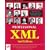 Professional XML (Programmer to programmer)
