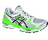 ASICS Herren Gel-Nimbus 14 2E Laufschuhe, Silber/Schwarz/GrÃ¼n, 43.5