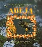 El Ciclo de Vida de la Abeja (Ciclo de Vida de... (Paperback)) (Spanish Edition)