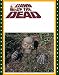Rubies Costume Haunted Yard Art Skull on Jaws with 2 Hands