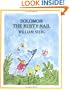 Solomon the Rusty Nail (Michael Di Capua Books)