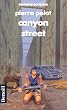 Canyon street