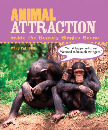 Attractions