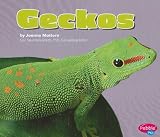 Geckos (Pebble Plus)