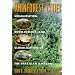 Rainforest Cities
