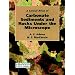 Essential Sedimentary Geology Bookshelf