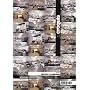 Herzog & DeMeuron, 1998-2002 (El Croquis 109/110) (English and Spanish Edition)