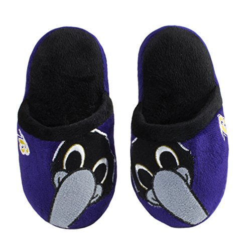 NFL Child's Mascot Slippers