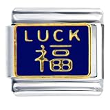 Luck In Chinese Italian Charms Bracelet Link
