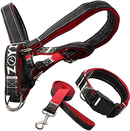 Premium Quality No Pull Dog leash Harness with Collar,Heavy Duty Leather-nylon Dog Collars Harnesses&amp;Leashes for Small/Medium/Large Dogs of High Durability,Perfect for Training/Walking Dogs (L, Red)