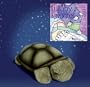 Twilight Turtle by Cloud B - Constellation Night Light & Free Lullaby Favorites CD