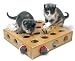 Smart Cat 3833 Peek-A-Prize Toy Box with 2 toys - Case of 3