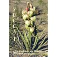 Yucca I (Dehiscent-fruited Species)