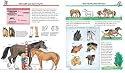 Alles über Pferde und Ponys (Wieso? Weshalb? Warum?)