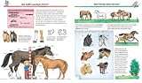 Alles über Pferde und Ponys (Wieso? Weshalb? Warum?)