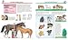 Alles über Pferde und Ponys (Wieso? Weshalb? Warum?)