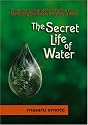 The Secret Life of Water