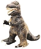 �e�B���m�T�E���X(��) �n���h�p�y�b�g