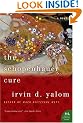 The Schopenhauer Cure