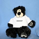 Plush Black Teddy Bear (Thumples) toy with Shavuot