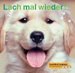 Hundkatzemaus 3. Lach mal wieder.