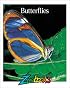 Butterflies (Zoobooks Series)