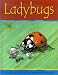 Books : Ladybugs (Minibeasts)