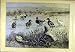 1883 Ugly-Brush Fox Ducks Hunting Wain Sport Print