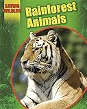 Rainforest animals
