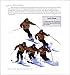 Anyone Can Be an Expert Skier II: Powder, Bumps, and Carving