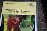 The Western Corn Rootworm / Interactive DVD-Rom / Diabrotica virgifera virgifera
