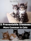 5 Preventable Diseases More Common in Cats