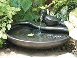 Standbrunnen Taube