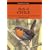 Birds of Chile: Including the Antartic Peninsular, the Falkland Islands and South Georgia (Helm Field Guides)