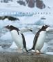 Nature Photography (Learning from a Master)
