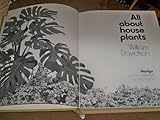 All about house plants