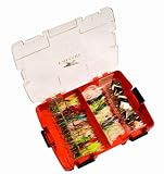 Falcon Elite Buzzbait Box