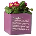 Cube Planter "Daughter" - Purple (6")