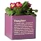 Cube Planter "Daughter" - Purple (6")