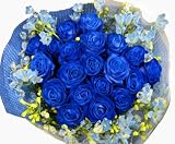 ���o���ƃf���t�B�j���[���̉��ȉԑ�