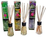 Greenair Earth Friendly Aromatherapy Reed Diffusers, 2.7 Ounce Containers, Set Of 3 Assorted Scents 51NFwYL0ErL. SL160 Greenair Earth Friendly Aromatherapy Reed Diffusers, 2.7 Ounce Containers, Set Of 3 Assorted Scents