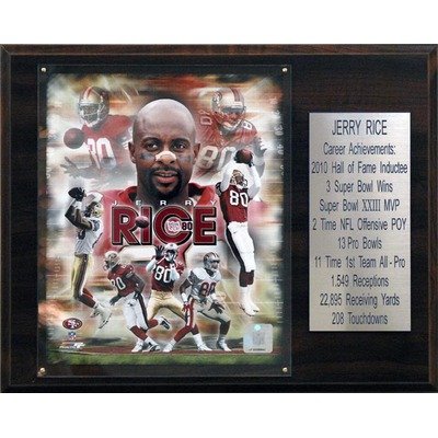 NFL San Francisco 49ers Jerry Rice Career Stat Plaque