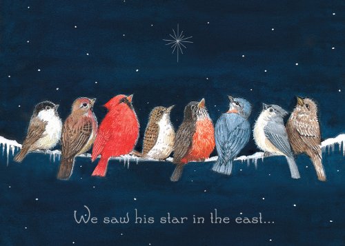 Marian Heath Lawson Falle Boxed Christmas Cards with Scripture, Winter Birds, 15-Count (92674) On Sale
