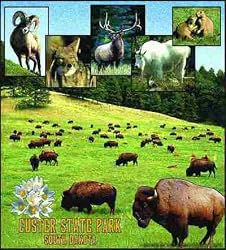 Custer Park, South Dakota Coverlet