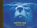 Brother Bear (Welcome Book)