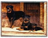 Rottweiler Woven Throw Blanket