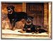   - Rottweiler Woven Throw Blanket