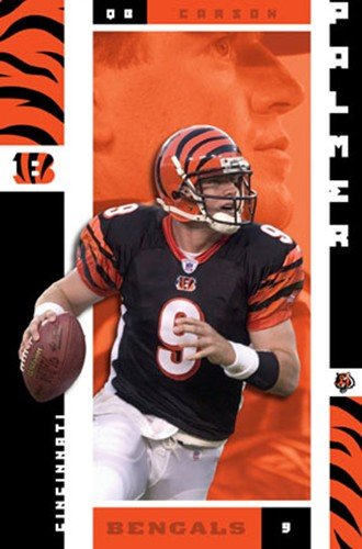 Carson Palmer Art Poster PRINT Unknown 22x34