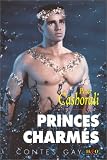 Princes charmés : Contes gay