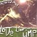Music : Love Lies Limp